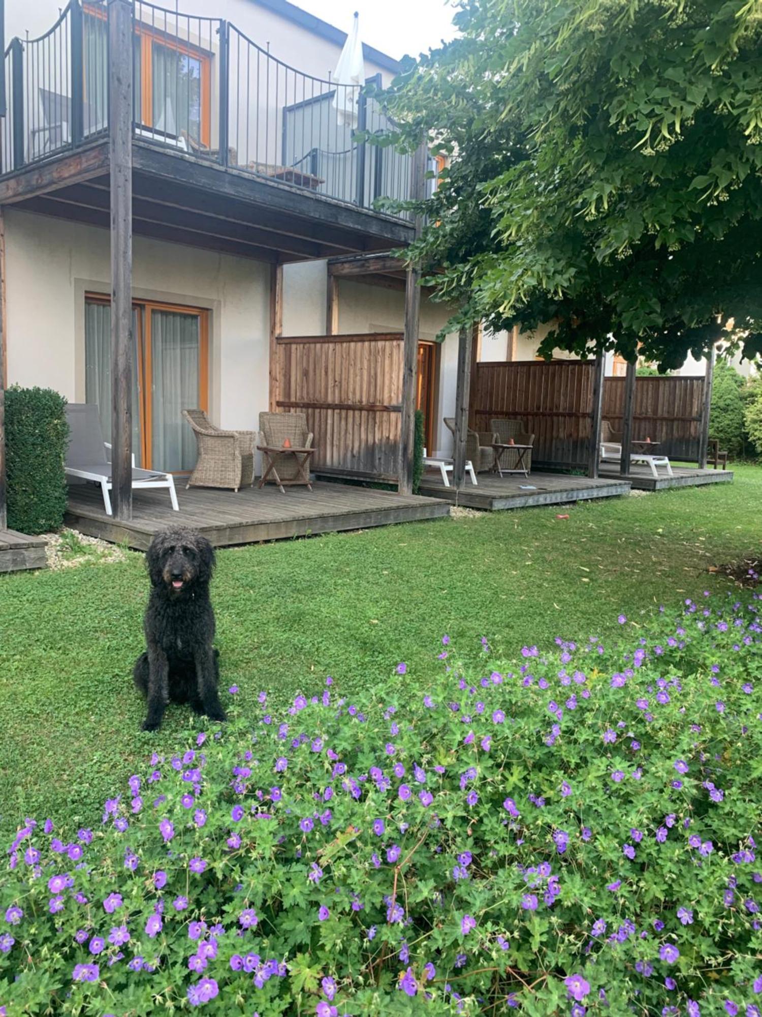 סנט רופרכט אן דר ראב Garten-Hotel Ochensberger מראה חיצוני תמונה